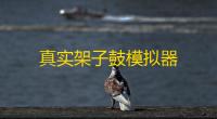 真实架子鼓模拟器